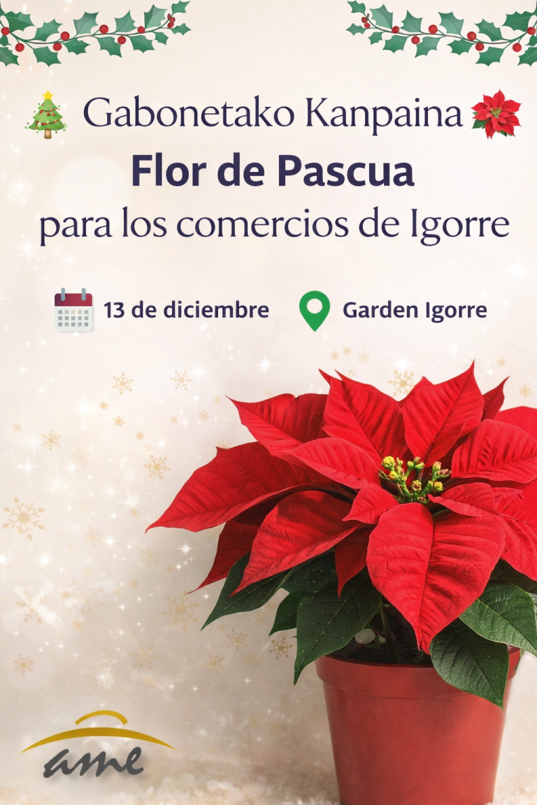 🌺 Gabonetako kanpaina | Gabonetako lorea Igorreko dendentzat